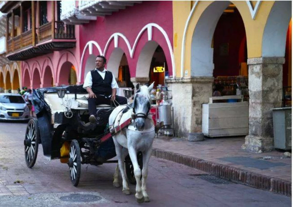 سياحة وسفر – مدينة كولومبية تحظر عربات الخيول