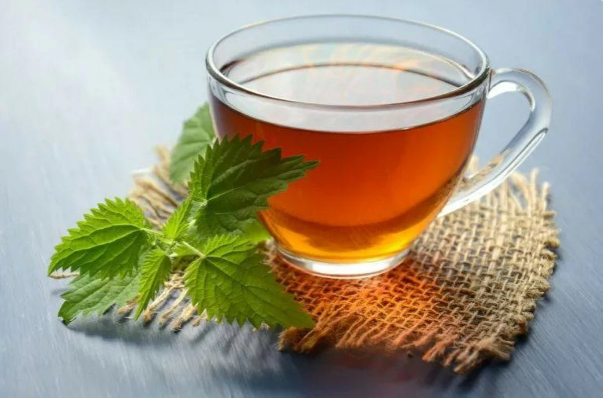 سيدتي – دراسة: شرب الشاي يساعد على تقوية عظام المرأة