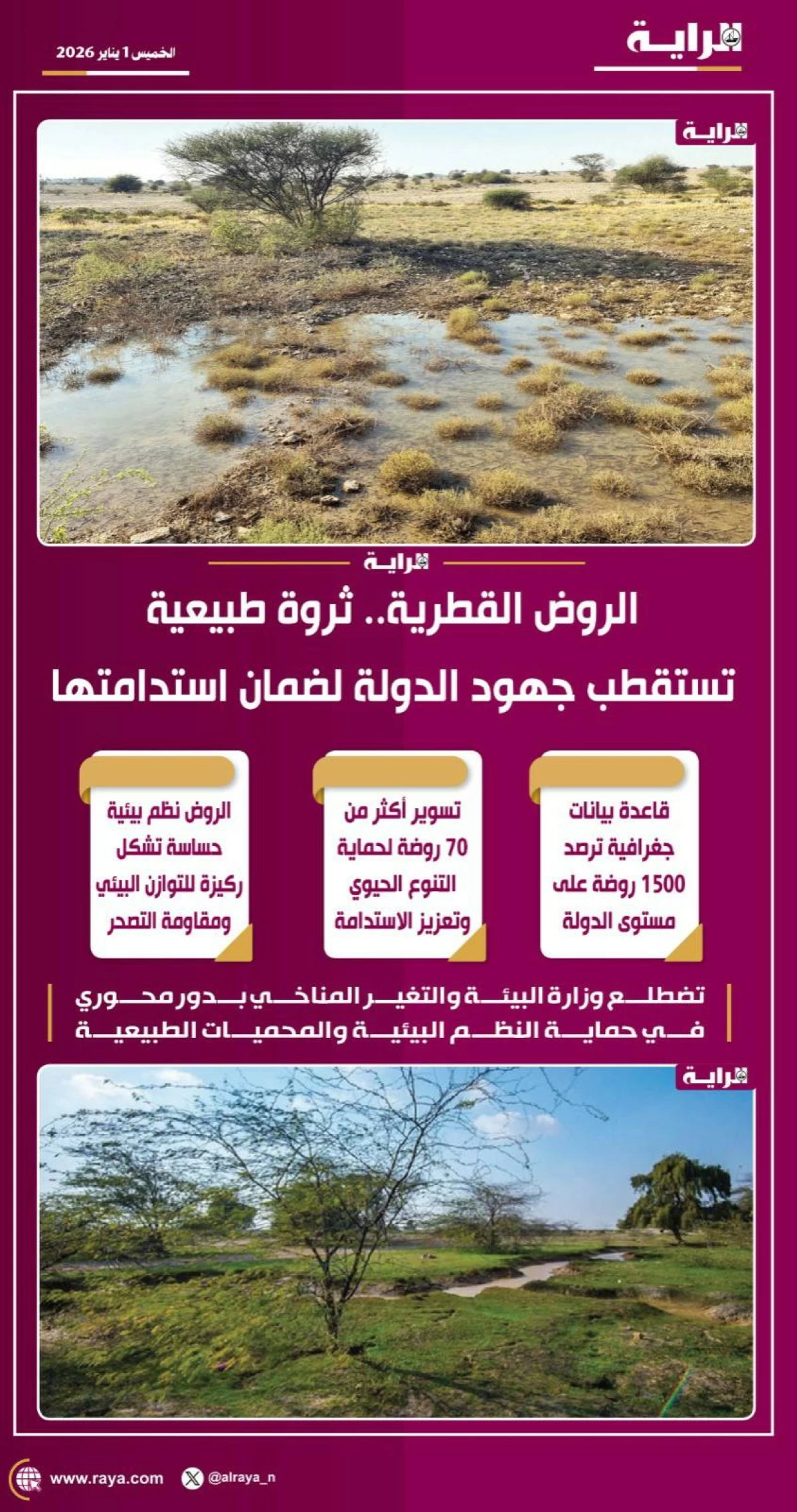 صوره – الروضة القطرية.. ثروة طبيعية