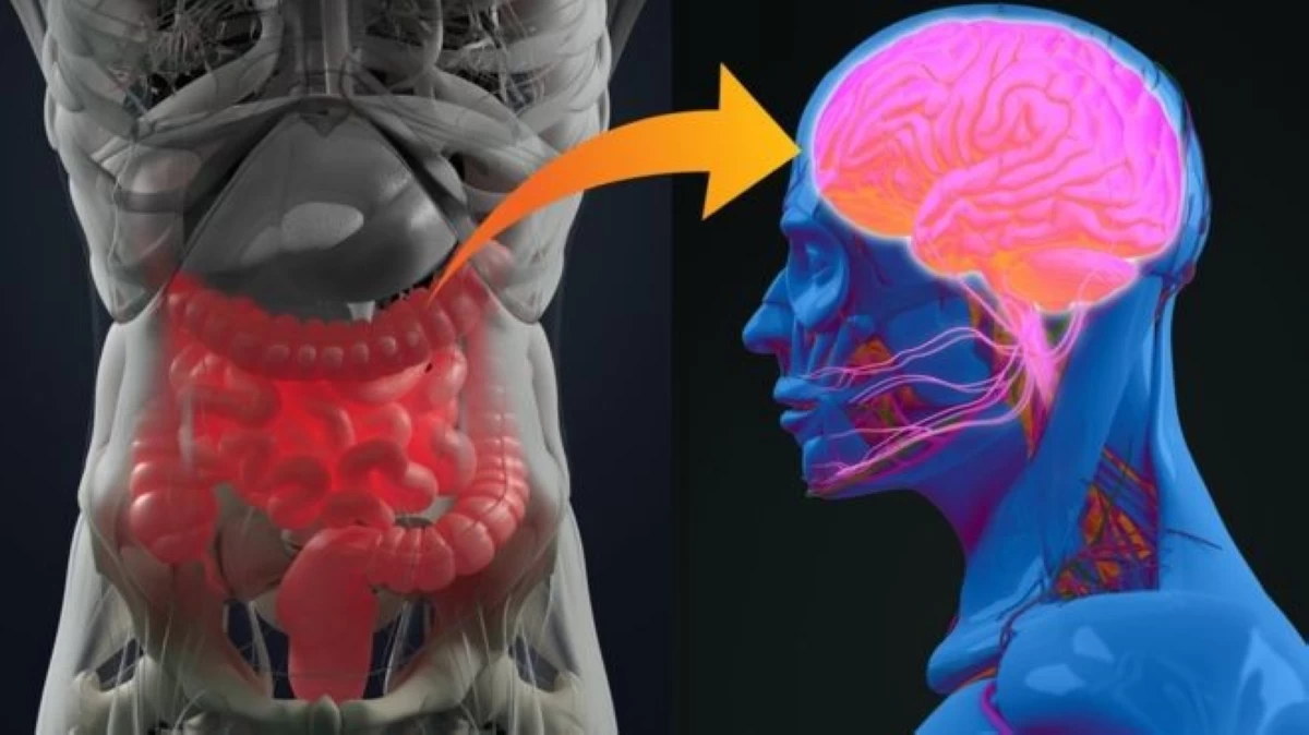 طب وصحة – دراسة تكشف العلاقة بين العواطف ومرض التهاب الأمعاء