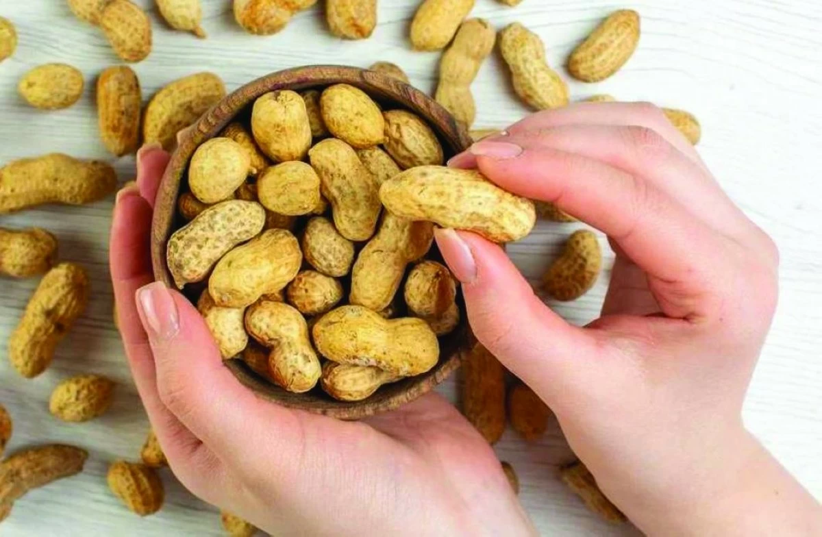 طب وصحة – فوائد تناول الفول السوداني يومياً