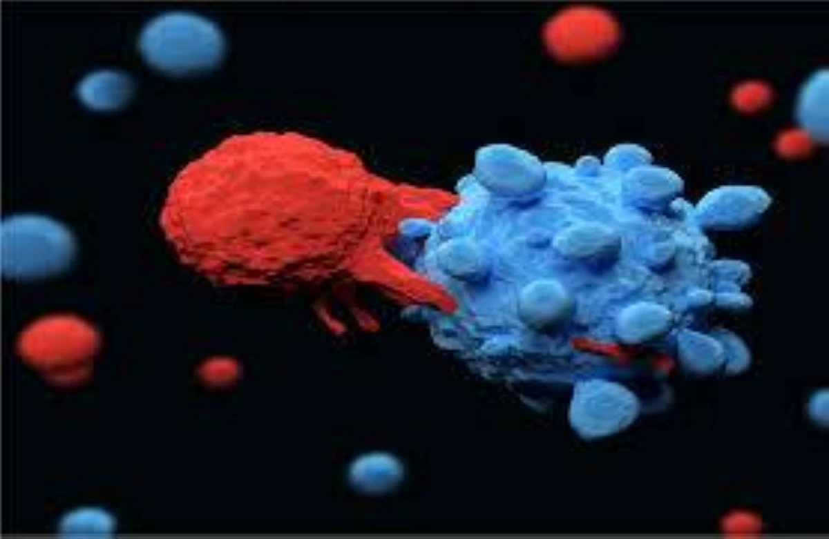 طب وصحة – دراسة: العلاج الكيميائي يعزز دور ميكروبات الأمعاء في مكافحة انتشار الأورام الثانوية