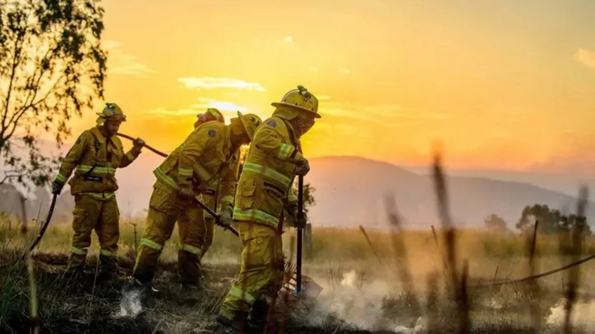 عالم الجريمة – موجة حر قياسية تضرب أستراليا وتشعل حرائق الغابات