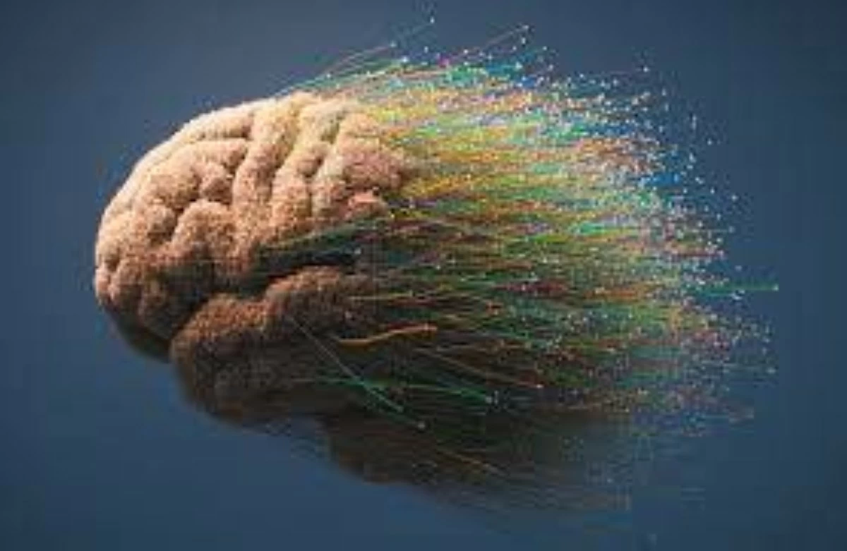 طب وصحة – دراسة أمريكية: تراكم البروتين في أوعية الدماغ يزيد خطر الإصابة بالخرف أربعة أضعاف