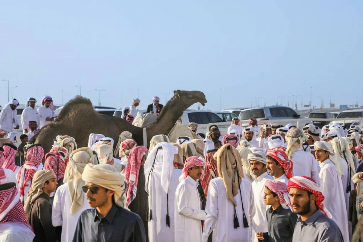 مشاركة كبيرة في جولات اللقاءات