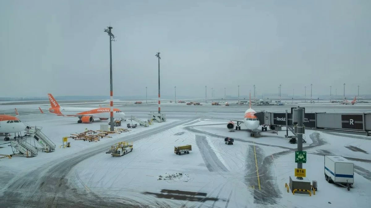 عالم الجريمة – مطار برلين الدولي يعلن استمرار تعليق الحركة الجوية بسبب “الجليد الأسود”