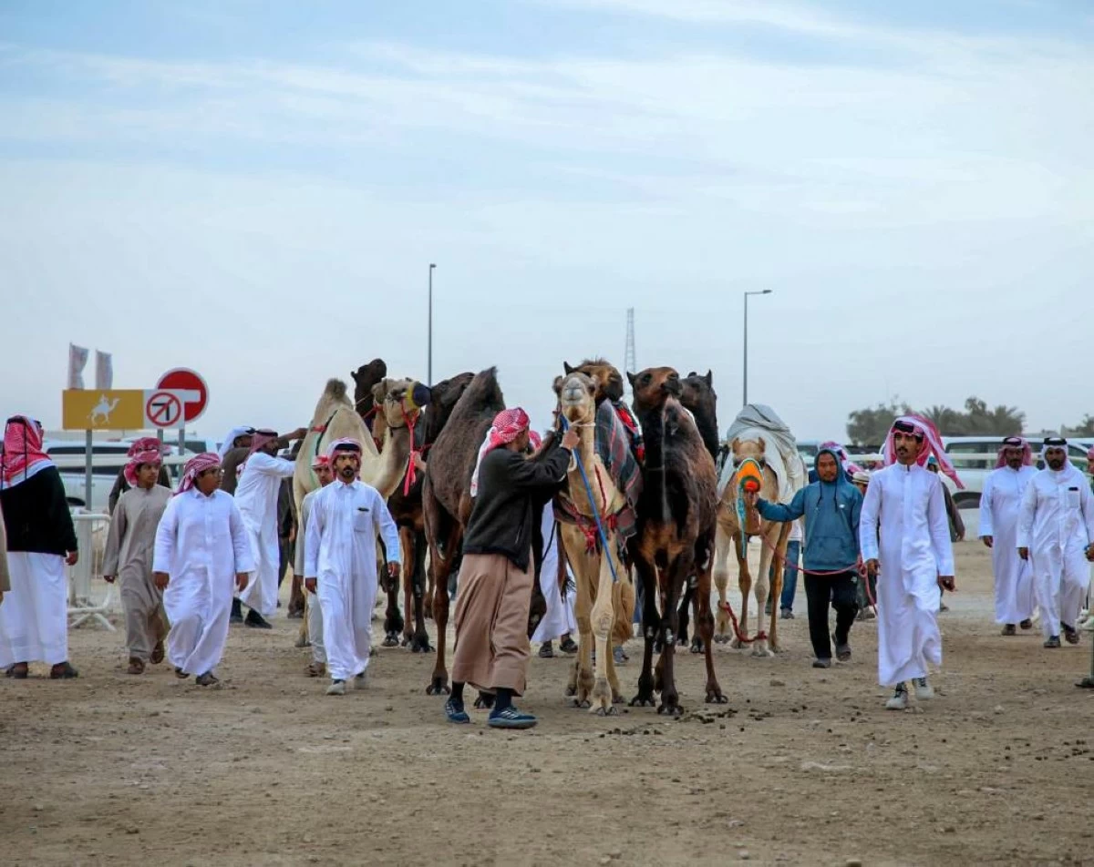 مشاركة كبيرة في سباقات المفارِد المحلية