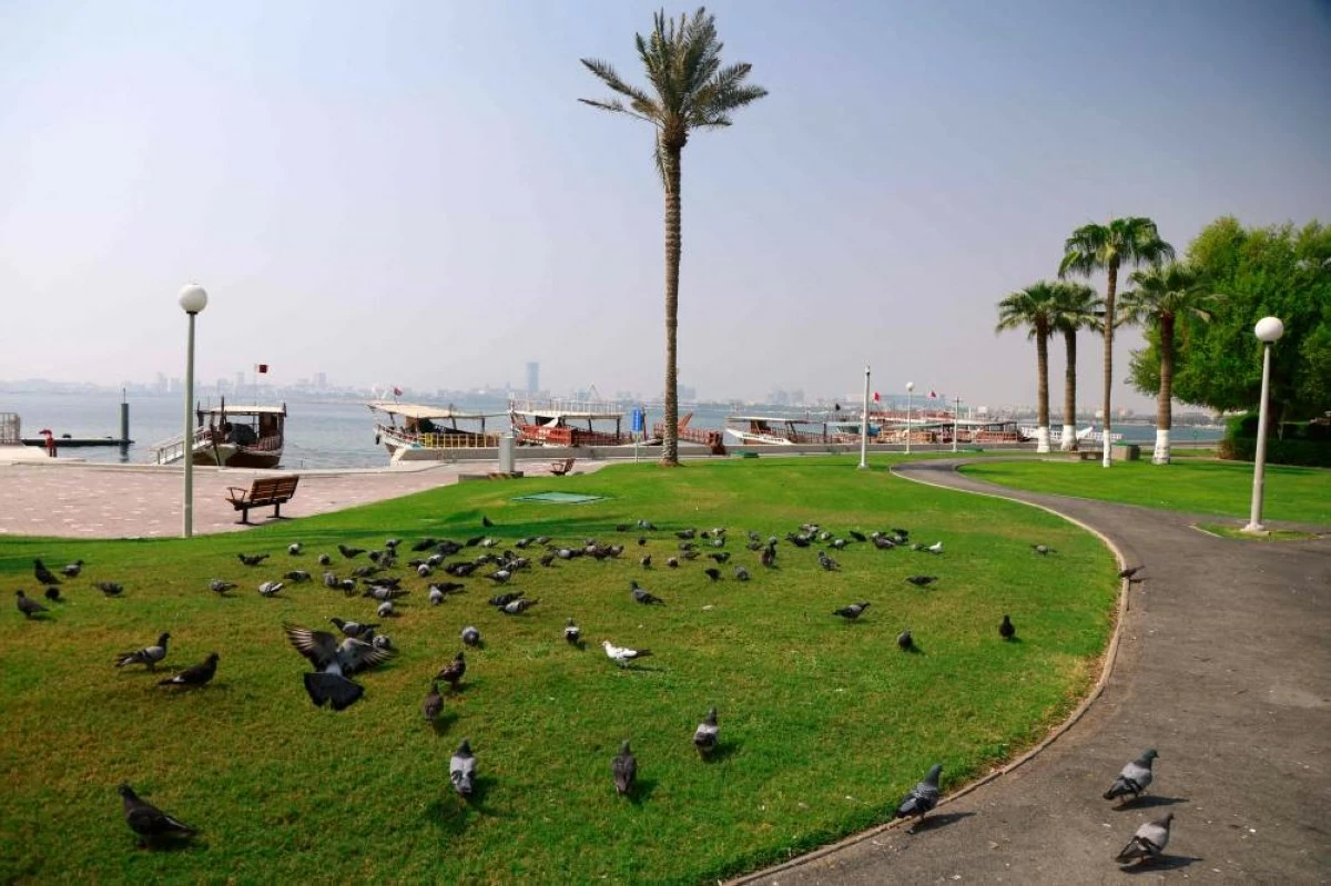 وتحذر الأرصاد الجوية من تدني مدى الرؤية الأفقية على السواحل وفي البحر