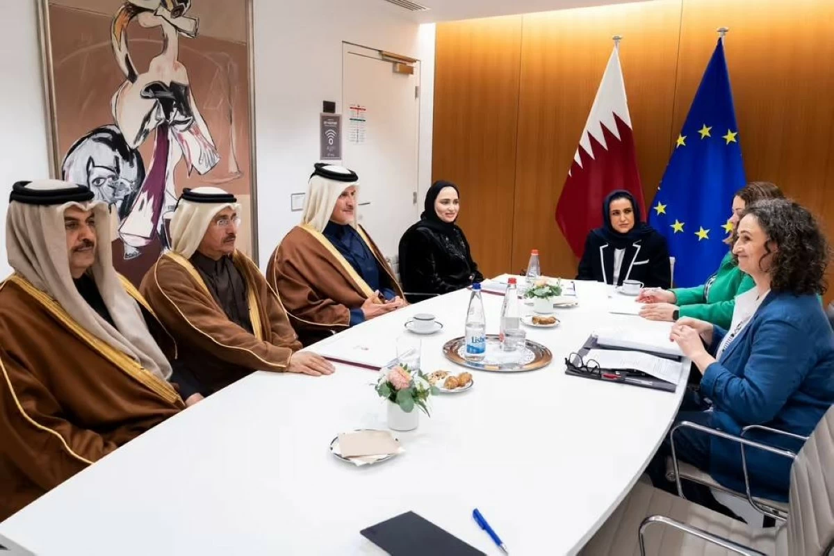 ويؤكد مجلس الشورى حرص دولة قطر على أن تكون شريكاً فاعلاً مع الجانب الأوروبي في القضايا الإقليمية والدولية