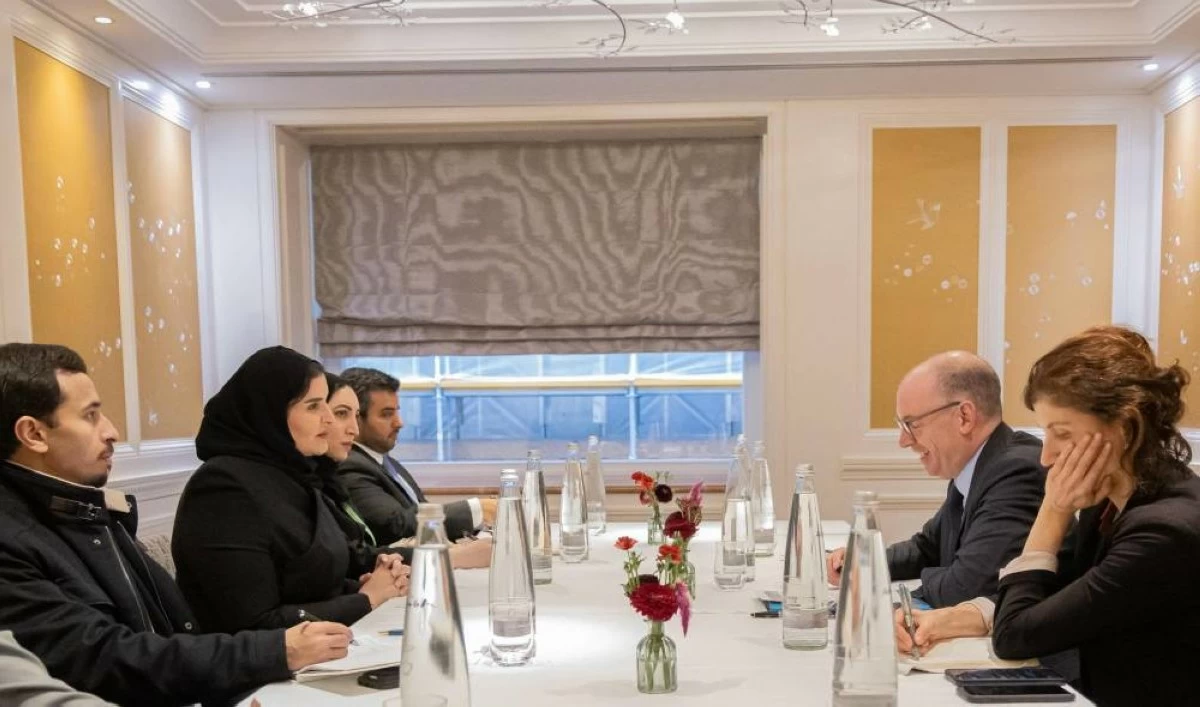 وزير الدولة لشؤون التعاون الدولي يجتمع مع وكيل وزارة التعاون الاقتصادي والتنمية الألمانية