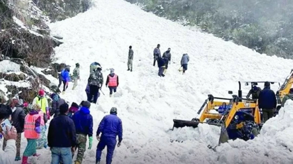 عالم الجريمة – انهيار ثلجي في شمال كاليفورنيا بالولايات المتحدة الأمريكية