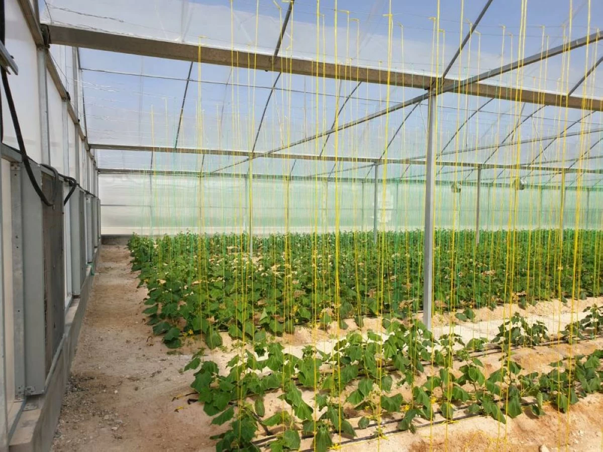 خارطة طريق لتطوير القطاع الزراعي