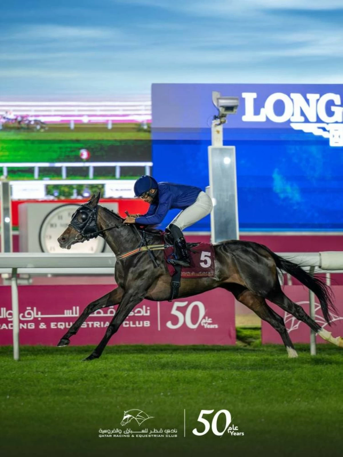 المهرة "كنده الشحانية" تفوز بكأس الوفاء للخيل العربية الأصيلة - جريدة الراية