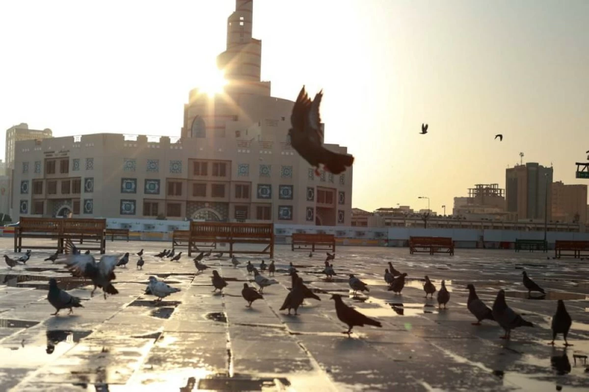 الأرصاد تحذر من تدني مدى الرؤية الأفقية على بعض مناطق الساحل هذه الليلة