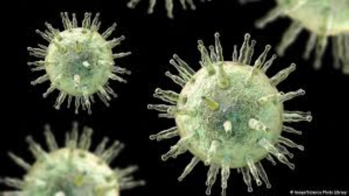 أخبار منوعة – دراسة تربط فيروس ابشتاين بار بالتصلب المتعدد