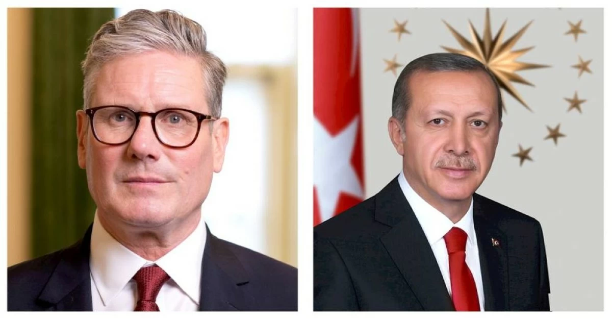 الرئيس التركي يبحث مع رئيس الوزراء البريطاني التطورات الإقليمية والدولية