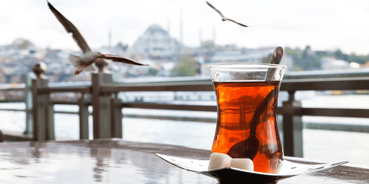 البوليفينولات والبروبيوتيك.. تعزّزان صحة الأمعاء