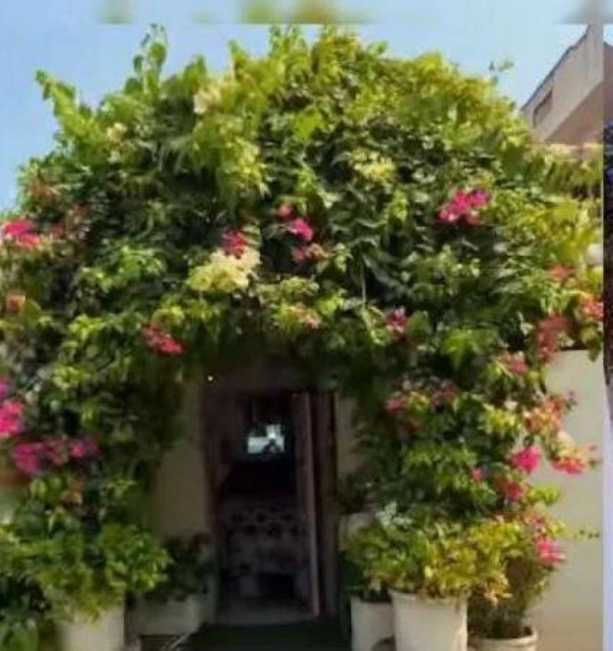 أخبار منوعة – محل لكي الملابس بأجواء مقهى عصرية