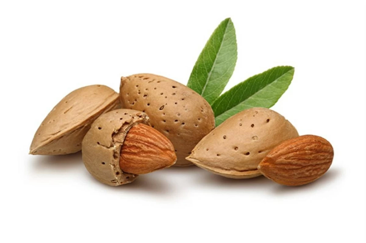 9 أطعمة غنية بالمغنيسيوم