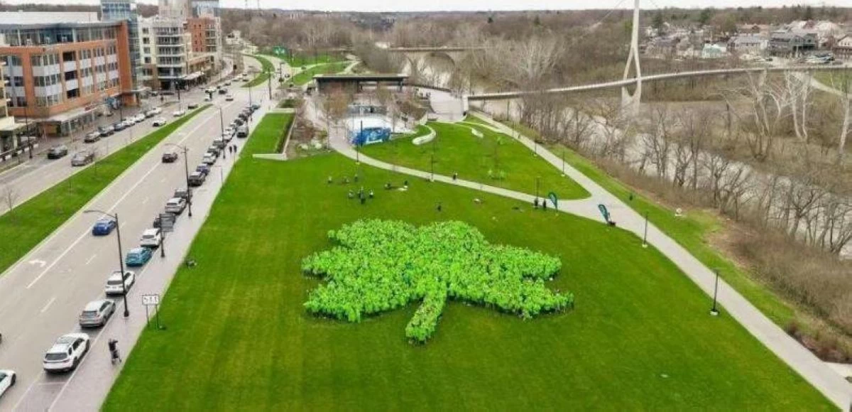 أخبار منوعة – أكبر رسمة بشرية على شكل زهرة البرسيم