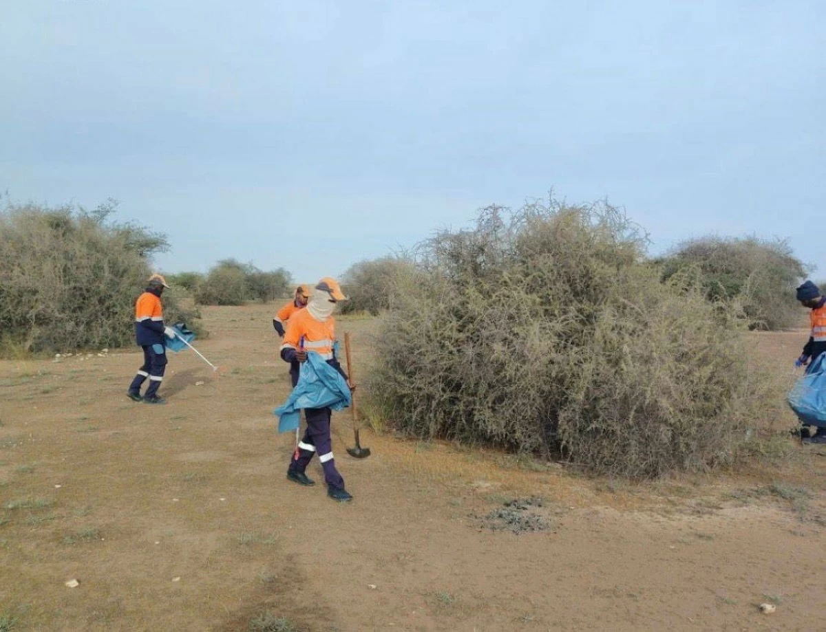 وزارة البيئة: إزالة 26 طناً من النفايات من عدد من الشواطئ والمناطق البرية