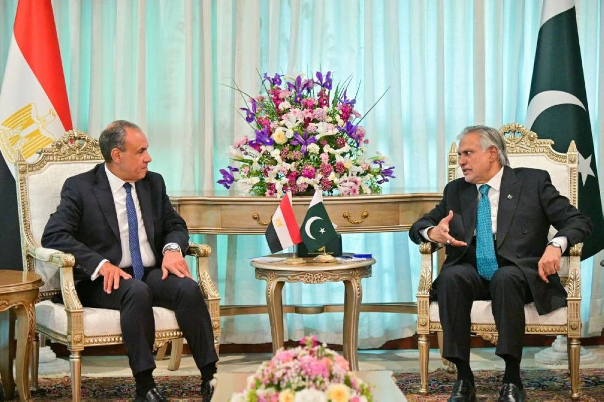وزيرا خارجية باكستان ومصر يبحثان الجهود المبذولة لخفض التصعيد في المنطقة والمضي قدما في مسار التهدئة