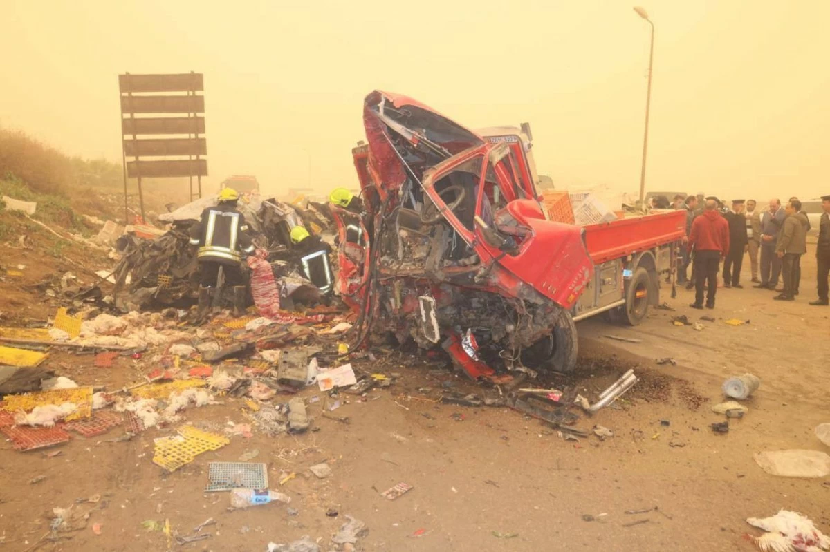 عالم الجريمة – مصر: مقتل 8 أشخاص وإصابة 4 في حادث تصادم مروع بالمنوفية