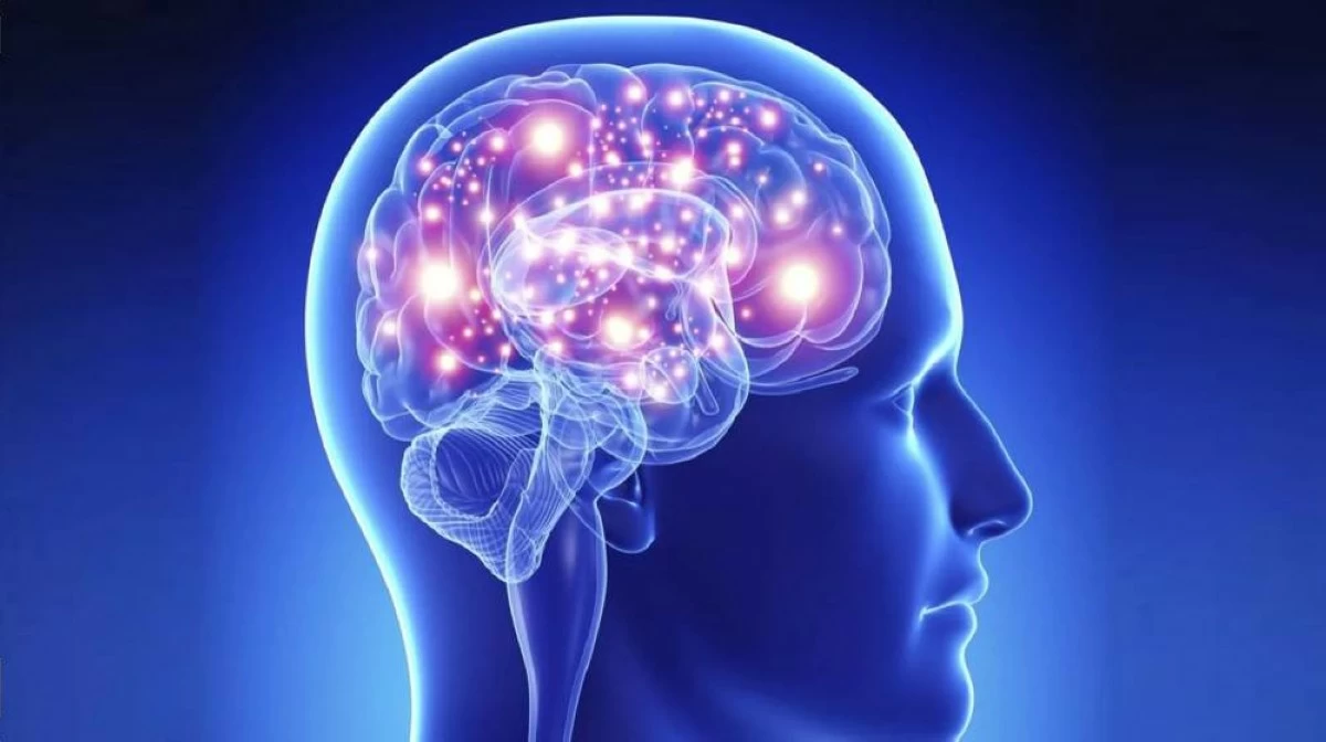 طب وصحة – دراسة جديدة: منطقة الدماغ قد تكون مسؤولة عن بعض حالات ارتفاع ضغط الدم