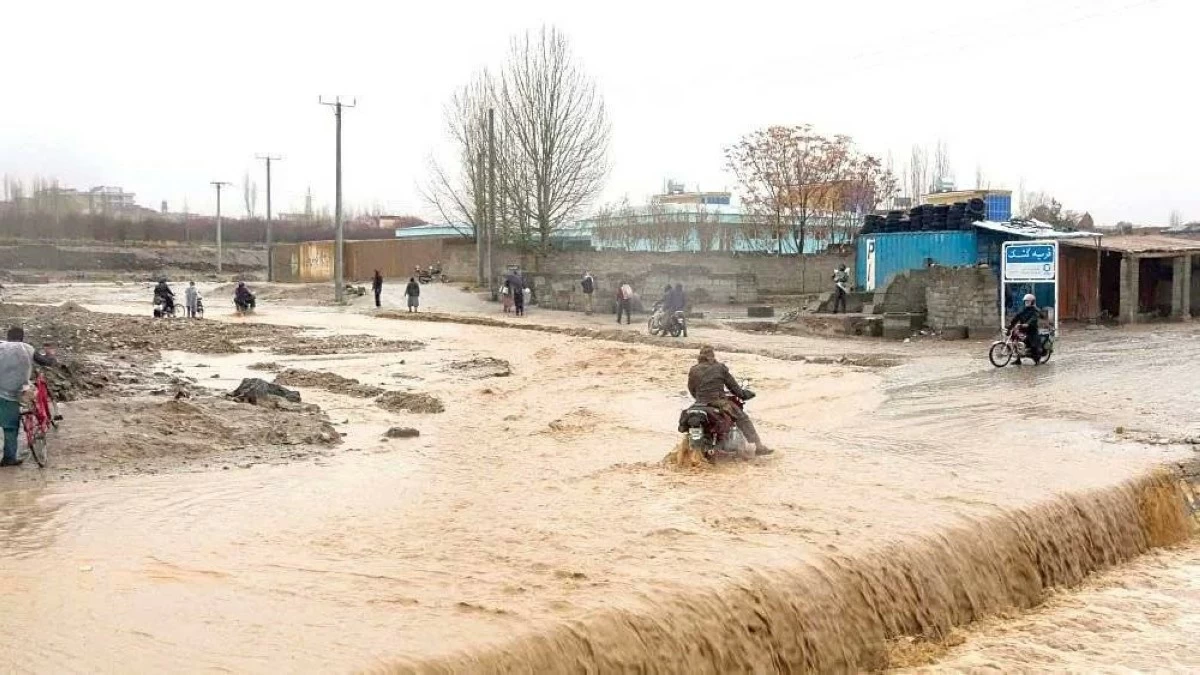 عالم الجريمة – ارتفعت حصيلة ضحايا الفيضانات في أفغانستان إلى 179 قتيلا و236 جريحا