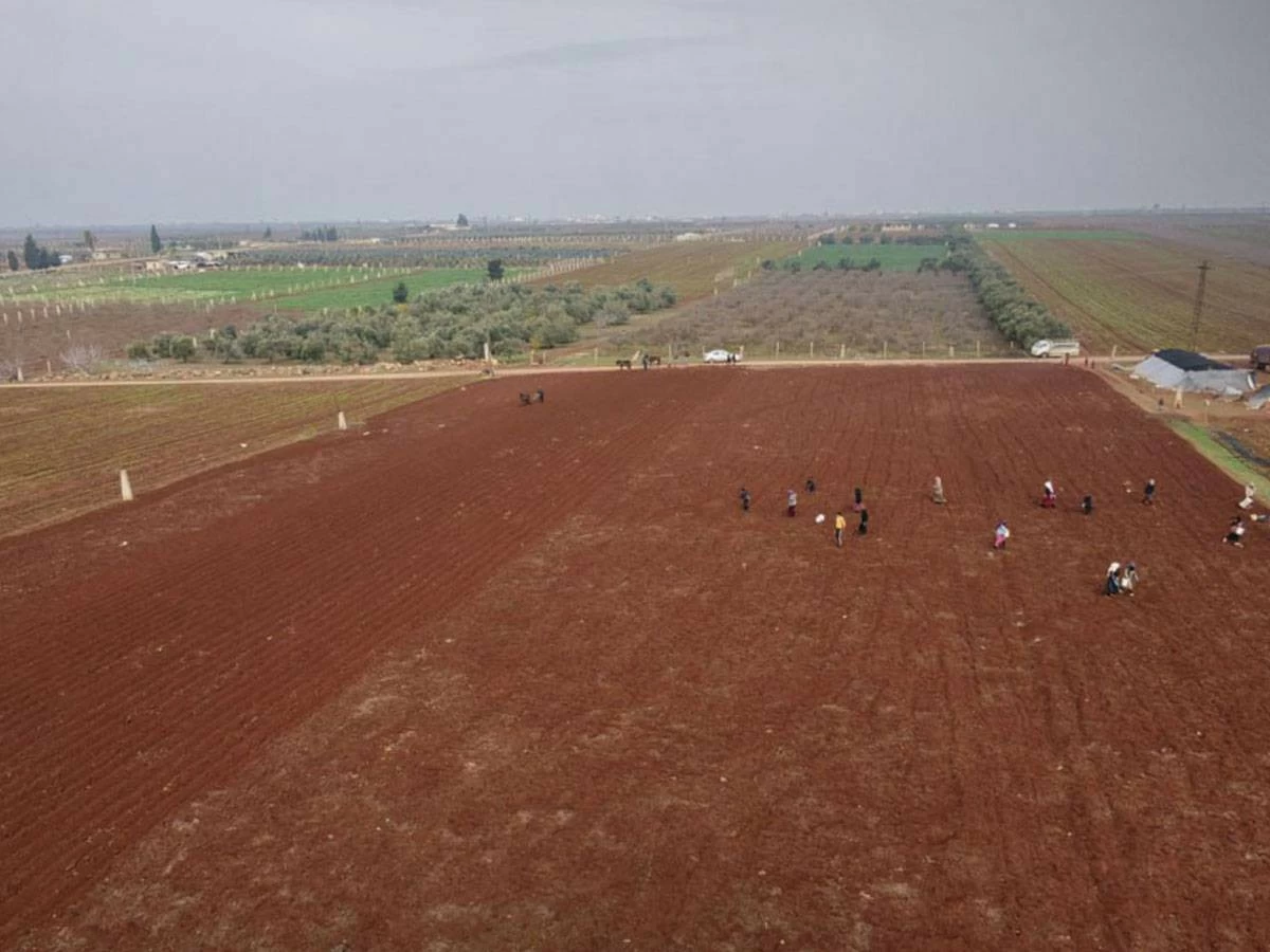 وقال مسؤولون سوريون لوكالة قنا: تحسن هطول الأمطار في سوريا يرفع مؤشرات الانتعاش الزراعي والمائي