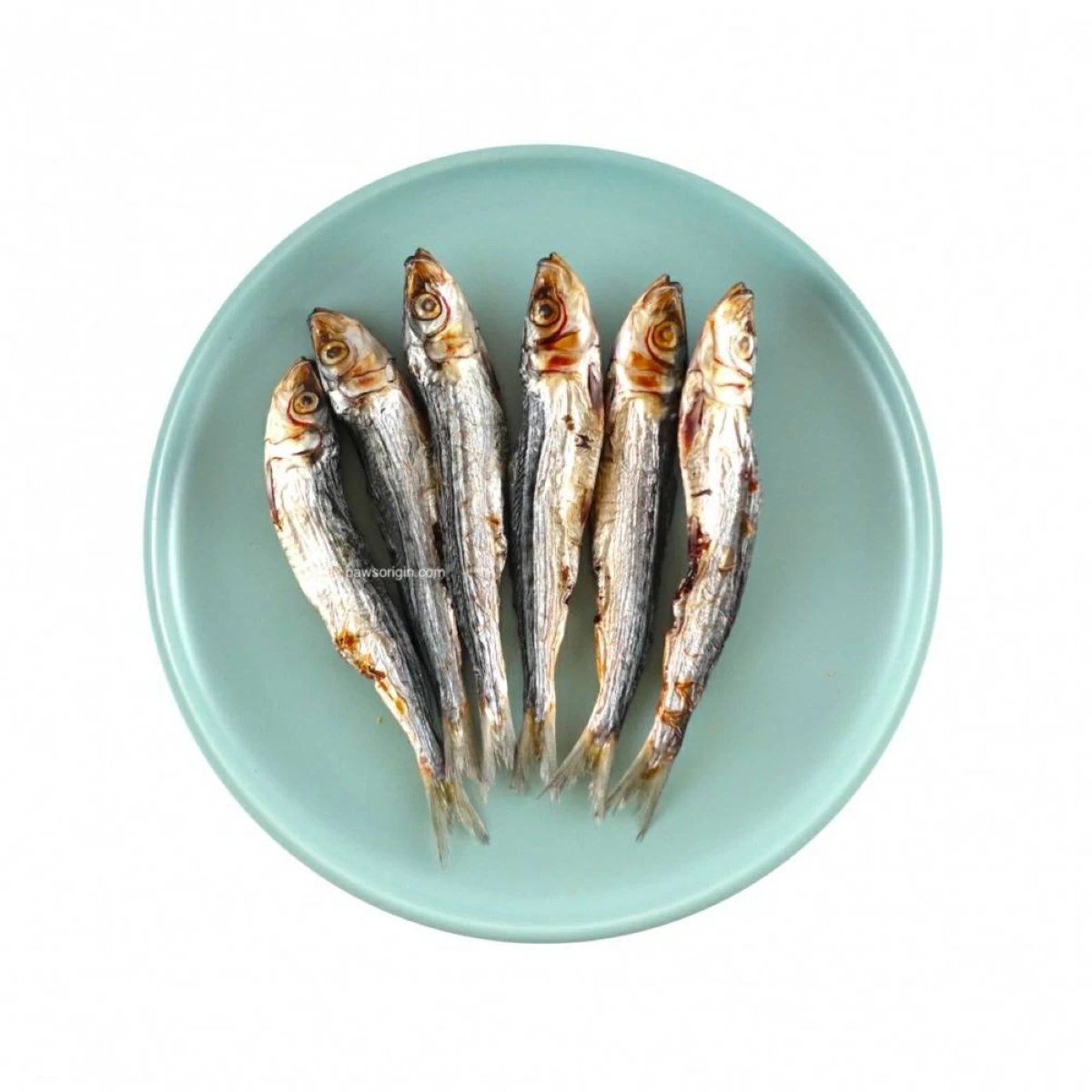 طب وصحة – فوائد السردين في نمو الأطفال