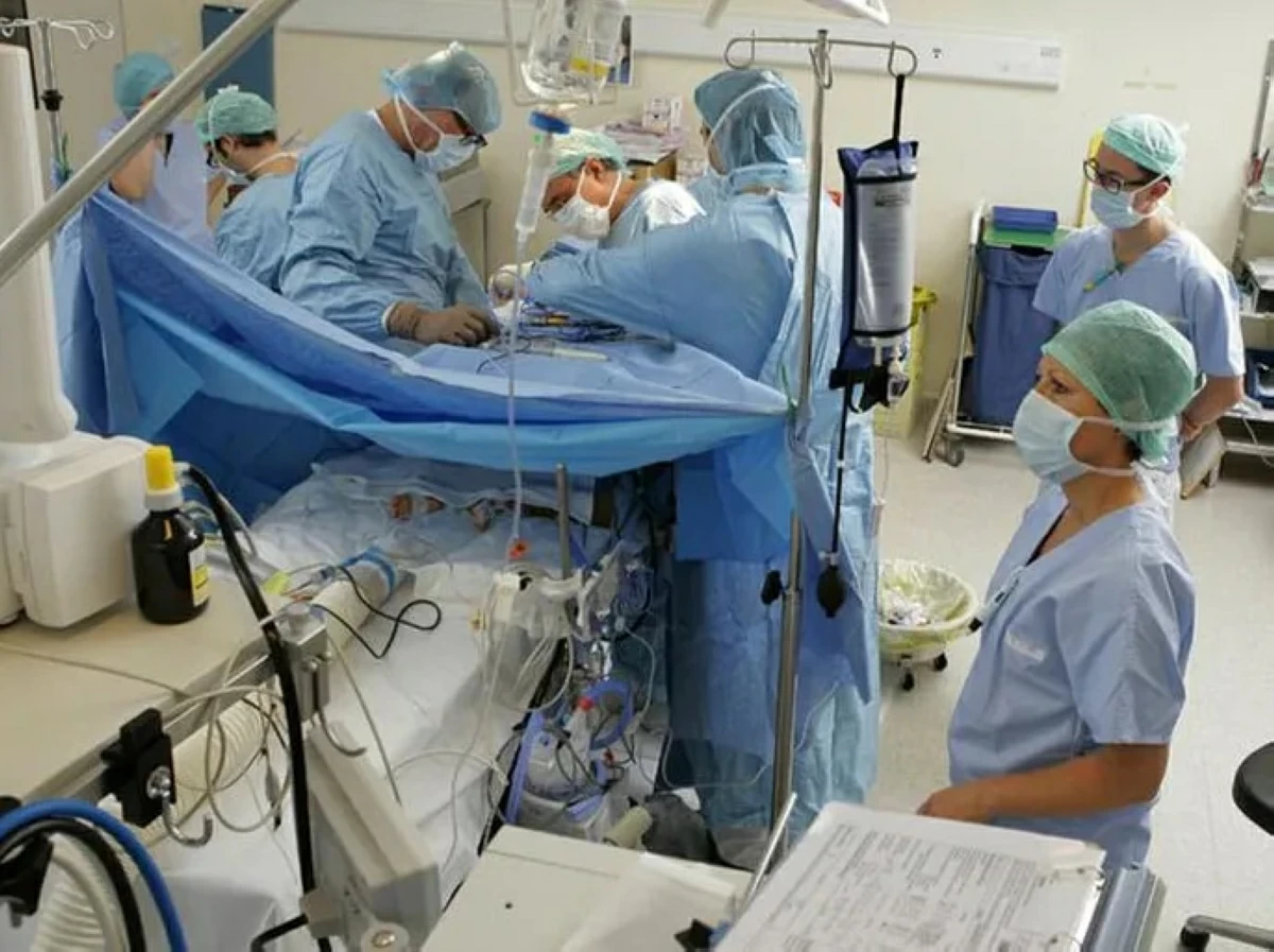 طب وصحة – يعمل الباحثون على تطوير تقنية جديدة تمكن مرضى زراعة الكبد من الاستغناء عن الأدوية المثبطة للمناعة