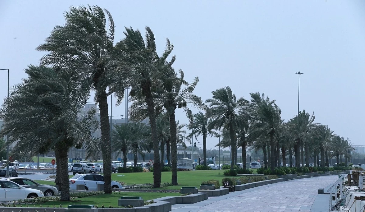 وتحذر إدارة الأرصاد الجوية من هطول أمطار رعدية ورياح قوية على الساحل
