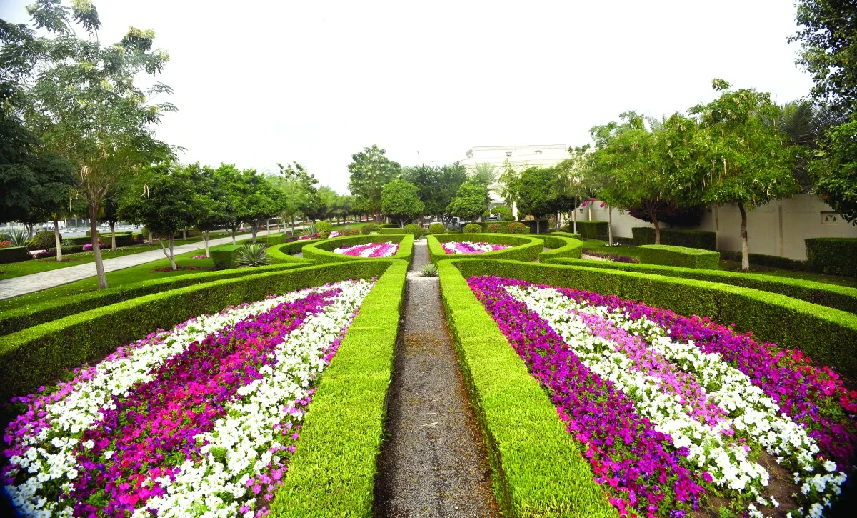 صوره – تم تزيين شوارع قطر وحدائقها العامة بالزهور الموسمية الملونة مثل زهور البتونيا، والقطيفة، وغيرها من النباتات الحولية.