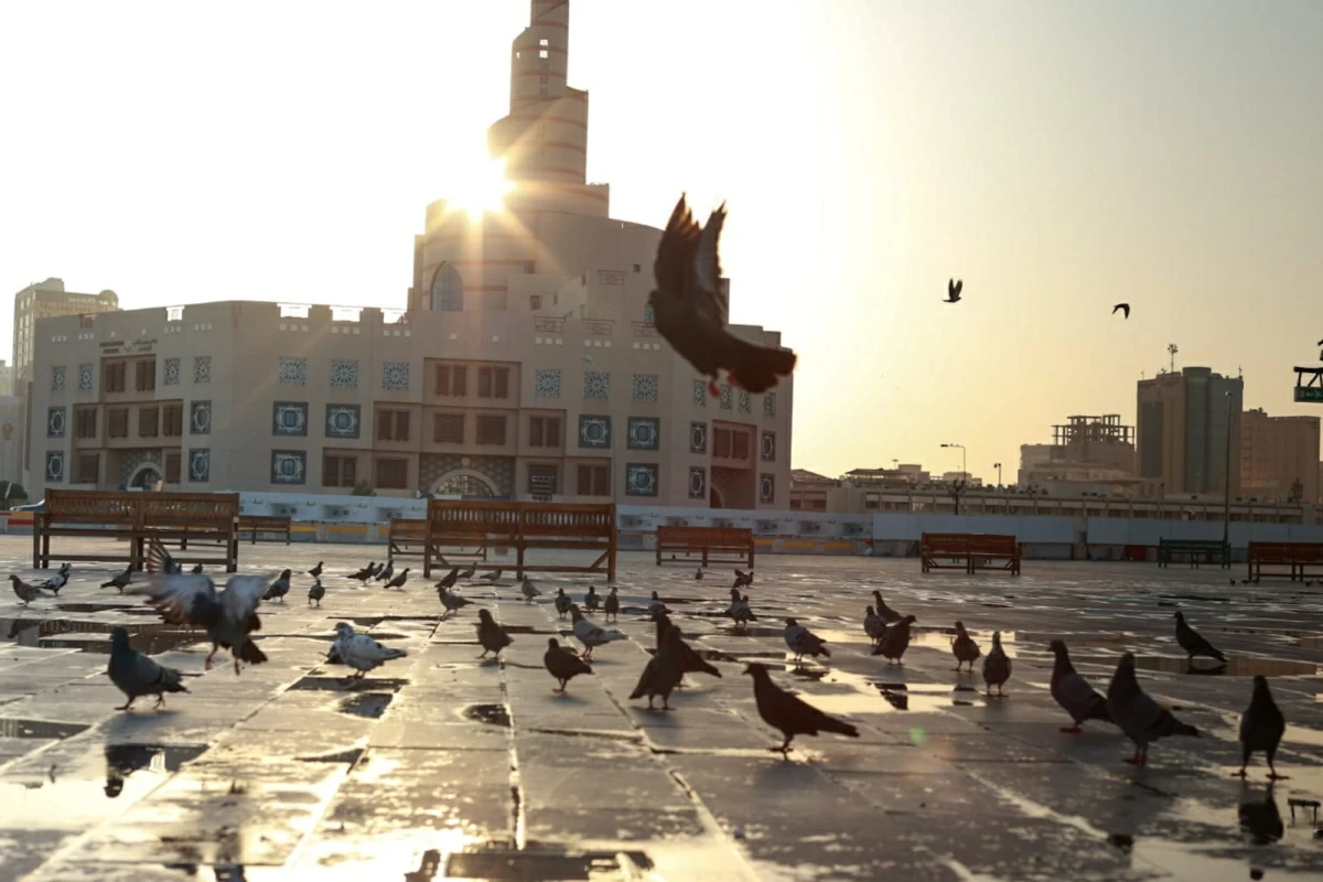 الأرصاد تحذر من رياح قوية على الساحل وفي البحر