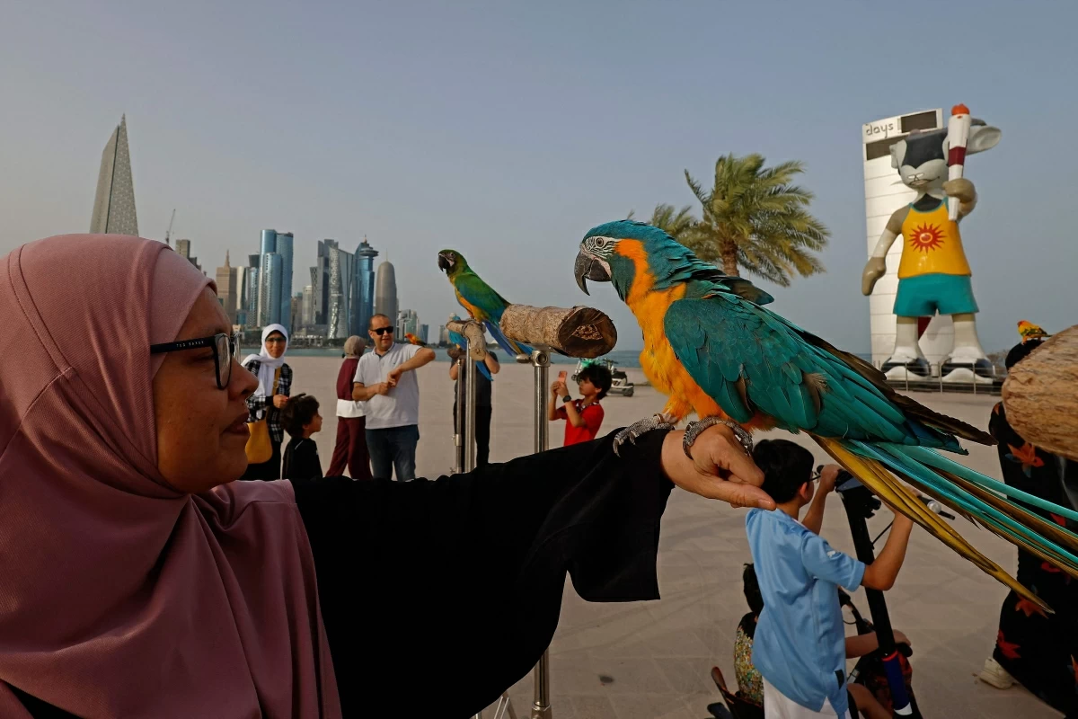 صوره – سائح يلتقط صورة مع الببغاء خلال عرض الطيور الذي قدمه مدرب الطيور المصري صلاح الجلاد، في منطقة كورنيش الدوحة. (فرانس برس)