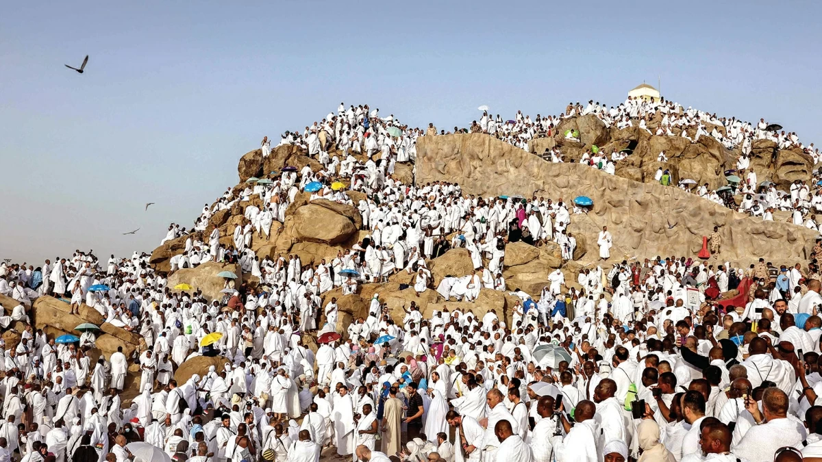 مليون و700 ألف حاج هذا العام مليون و700 ألف حاج هذا العام