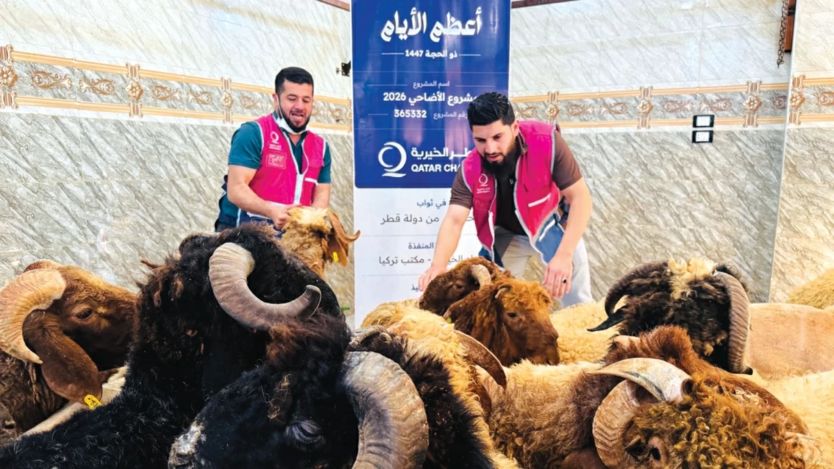900 ألف مستفيد من حملة قطر الخيرية الموسمية