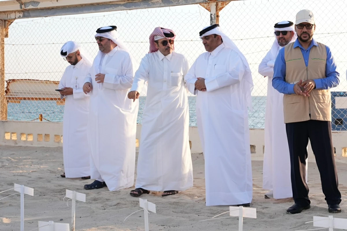 وزارة البيئة والتغير المناخي تطلق موسم إطلاق صغار السلاحف البحرية في شاطئ فويرط