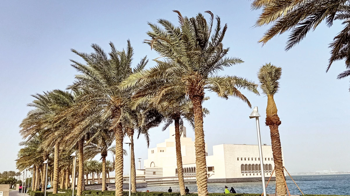 الأرصاد تحذر من رياح قوية وأمواج عالية