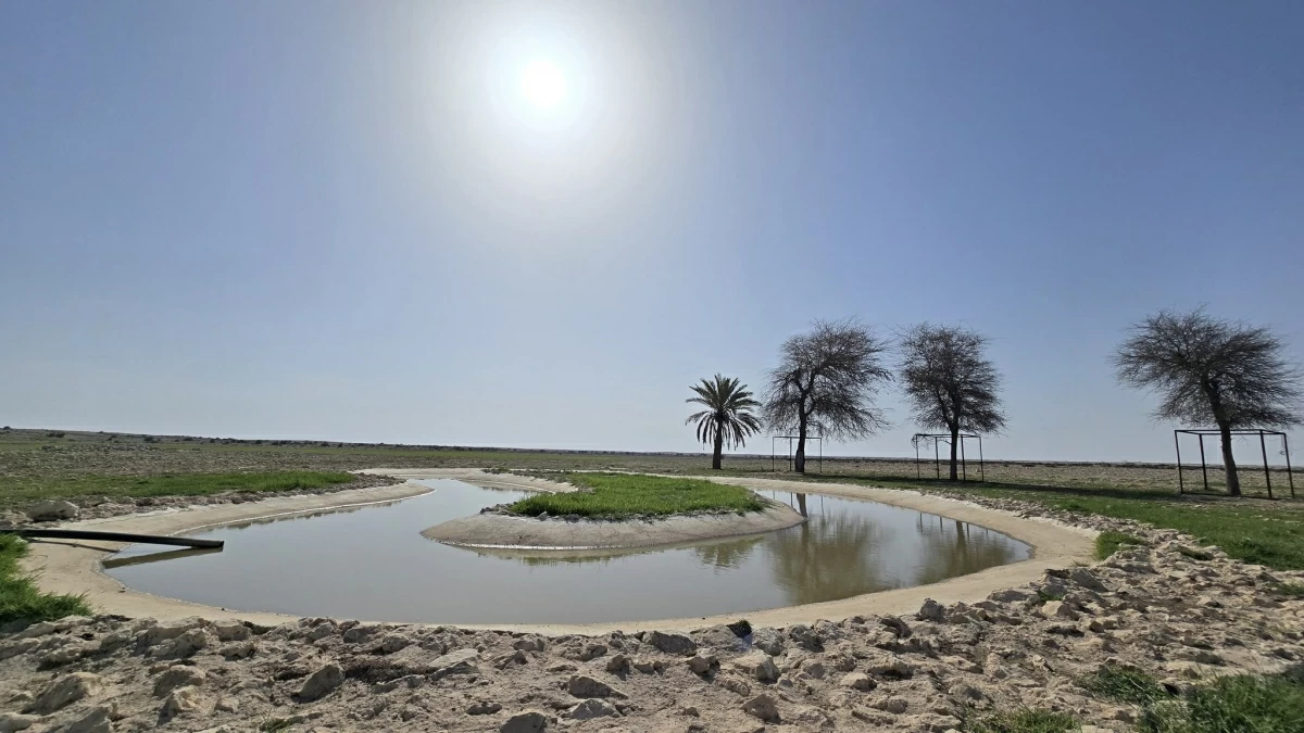 طقس حار نهارا على الساحل، وغبار عالق في البحر في البداية طقس حار نهارا على الساحل، وغبار عالق في البحر في البداية