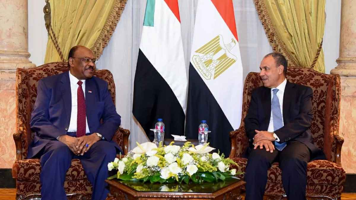 وزيرا خارجية مصر والسودان يناقشان آخر تطورات الأوضاع