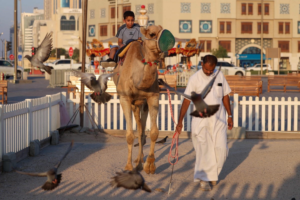 صوره – طفل يركب جملاً يقوده مرشد في سوق واقف بالدوحة.