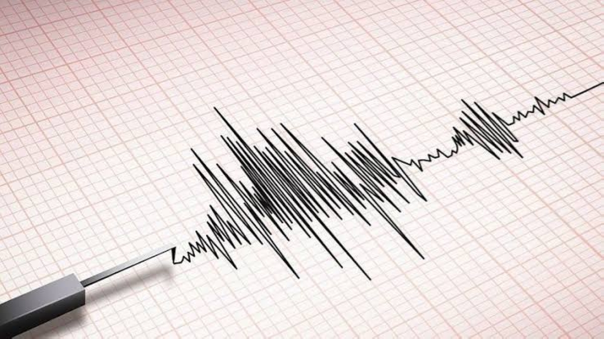 عالم الجريمة – زلزال بقوة 5.5 درجة يضرب وسط تشيلي عالم الجريمة – زلزال بقوة 5.5 درجة يضرب وسط تشيلي
