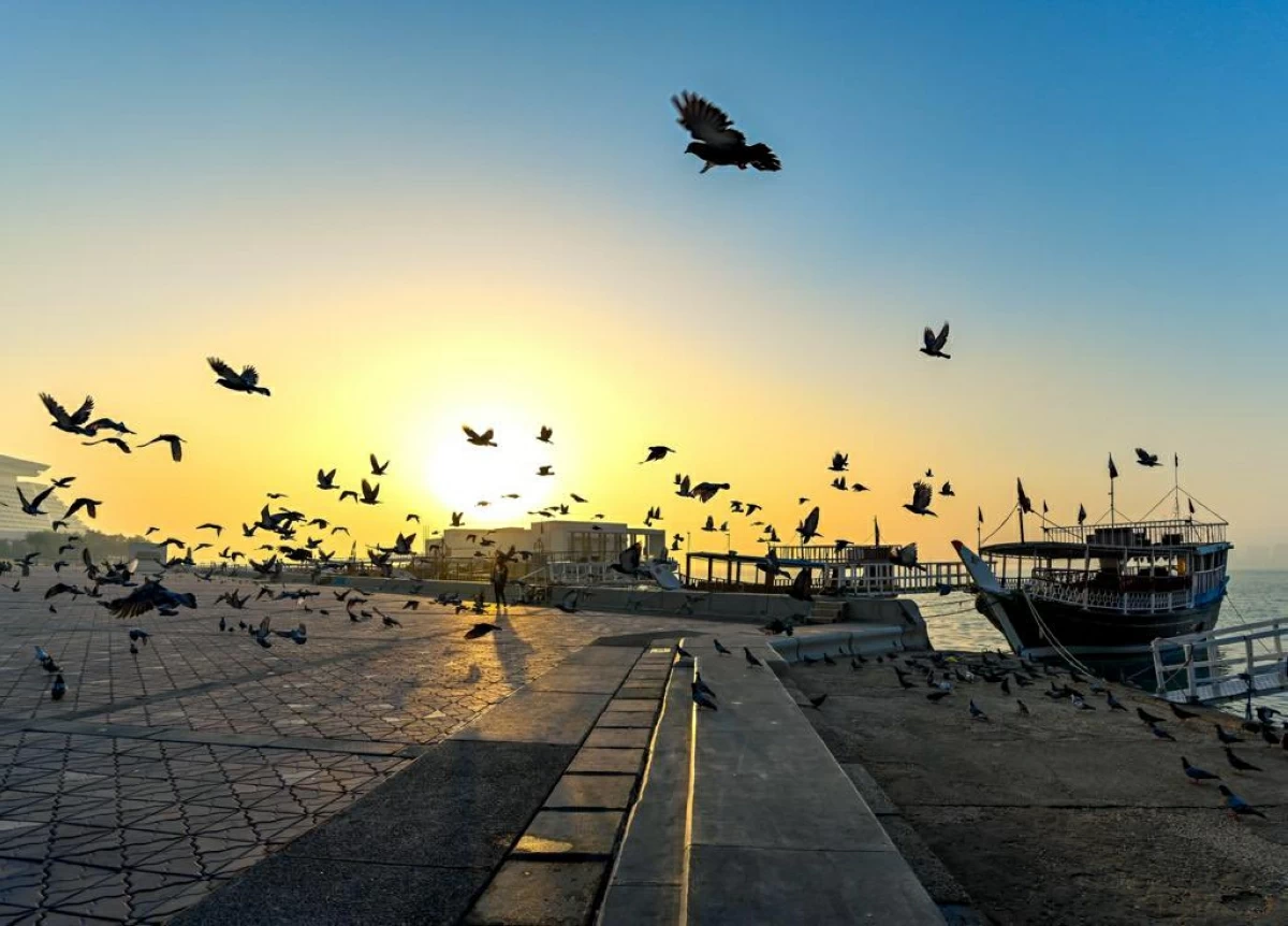 طقس حار نهارا على الساحل مع ظهور بعض السحب على البحر طقس حار نهارا على الساحل مع ظهور بعض السحب على البحر