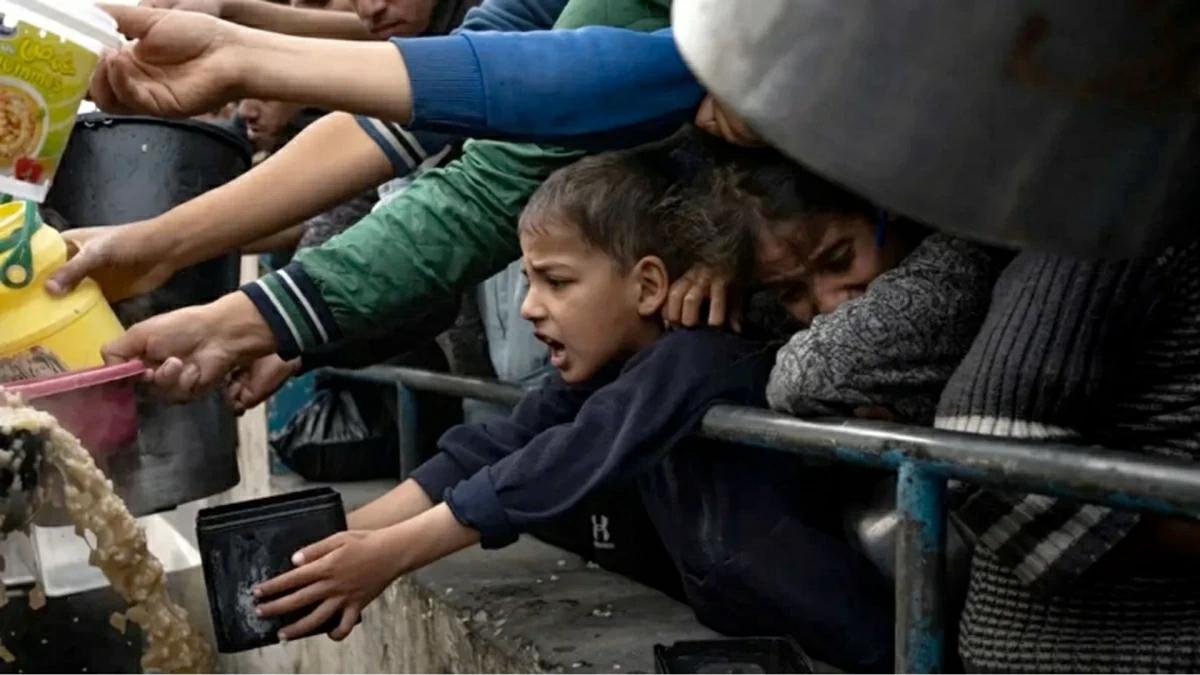 ويعاني 1.4 مليون شخص في غزة من انعدام الأمن الغذائي